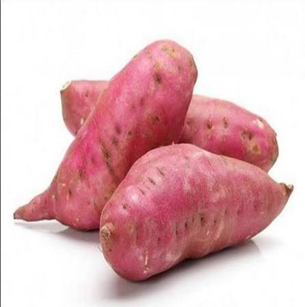 আলু